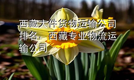 西藏大件货物运输公司排名,西藏专业物流运输公司