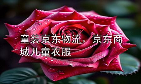 童装京东物流,京东商城儿童衣服