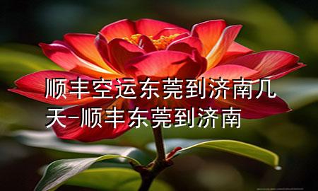 顺丰空运东莞到济南几天-顺丰 东莞到济南