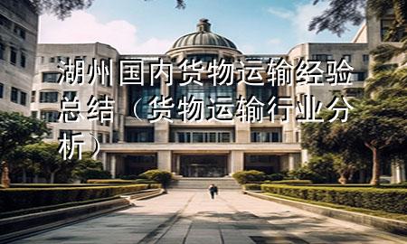 湖州国内货物运输经验总结(货物运输行业分析)