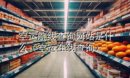 空运航线查询网站是什么（空运在线查询）