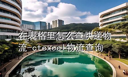 在表格里怎么查快递物流-ctexcel物流查询