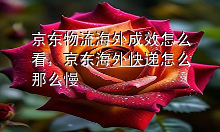 京东物流海外成效怎么看,京东海外快递怎么那么慢