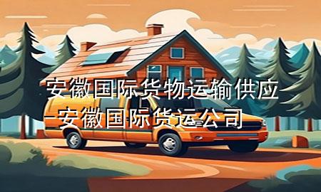安徽国际货物运输供应-安徽国际货运公司