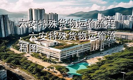 六安特殊货物运输流程,六安特殊货物运输流程图