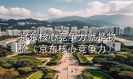 京东核心竞争力就是物流(京东 核心竞争力)