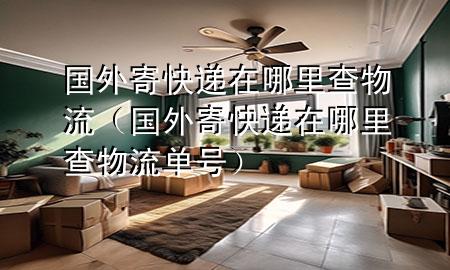 国外寄快递在哪里查物流(国外寄快递在哪里查物流单号)