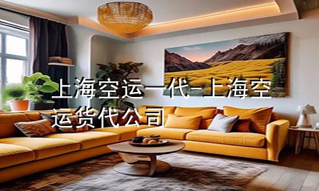 上海空运一代-上海空运货代公司