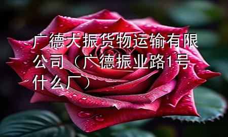 广德大振货物运输有限公司(广德振业路1号什么厂)