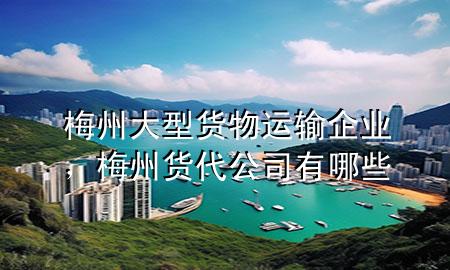梅州大型货物运输企业,梅州货代公司有哪些