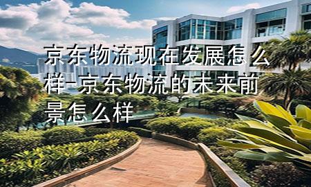 京东物流现在发展怎么样-京东物流的未来前景怎么样