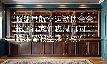 临沭县航空运动协会会长（行家们我想问问,临沭暑假空乘学校?）