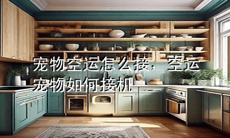 宠物空运怎么接，空运宠物如何接机