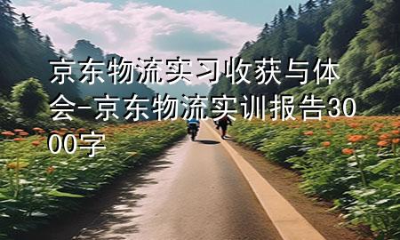 京东物流实习收获与体会-京东物流实训报告3000字