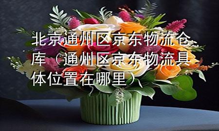 北京通州区京东物流仓库（通州区京东物流具体位置在哪里）