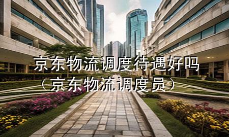 京东物流调度待遇好吗(京东物流调度员)