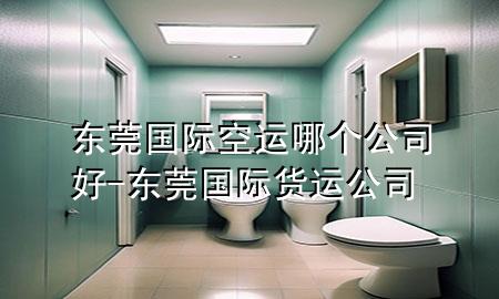 东莞国际空运哪个公司好-东莞国际货运公司