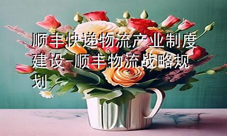 顺丰快递物流产业制度建设-顺丰物流战略规划