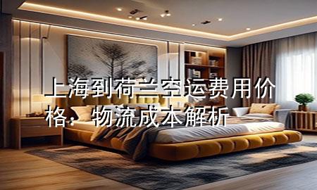 上海到荷兰空运费用价格：物流成本解析