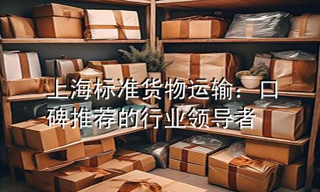 上海标准货物运输:口碑推荐的行业领导者