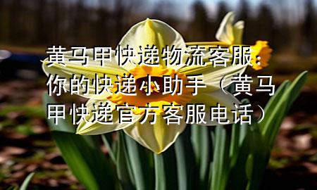 黄马甲快递物流客服:你的快递小助手(黄马甲快递官方客服电话)