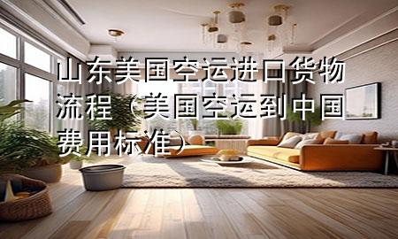 山东美国空运进口货物流程(美国空运到中国费用标准)