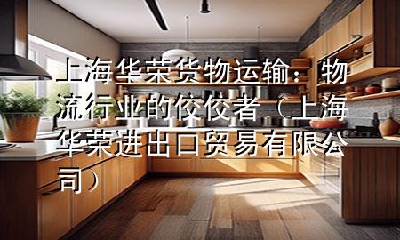 上海华荣货物运输:物流行业的佼佼者(上海华荣进出口贸易有限公司)