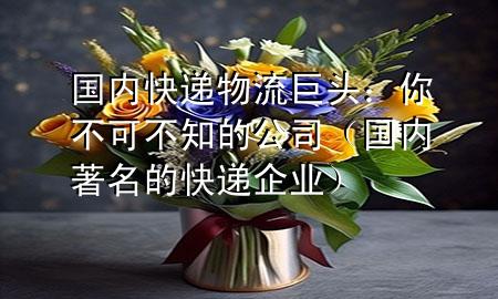 国内快递物流巨头:你不可不知的公司(国内著名的快递企业)