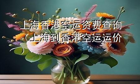 上海香港空运资费查询（上海到香港空运运价）
