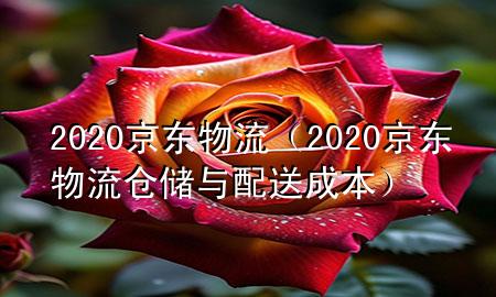 2020京东物流(2020京东物流仓储与配送成本)