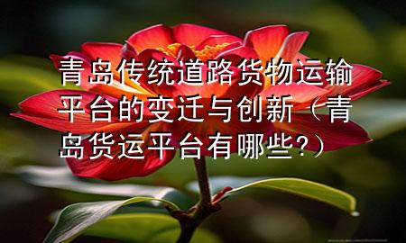 青岛传统道路货物运输平台的变迁与创新(青岛货运平台有哪些?)