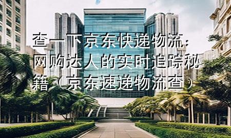 查一下京东快递物流:网购达人的实时追踪秘籍(京东速递物流查)