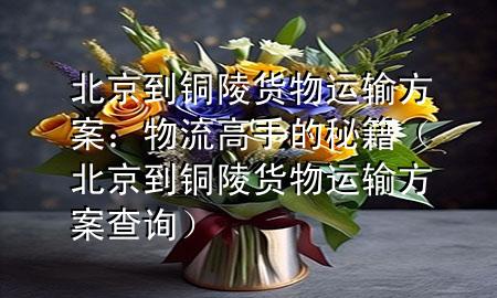 北京到铜陵货物运输方案:物流高手的秘籍(北京到铜陵货物运输方案查询)