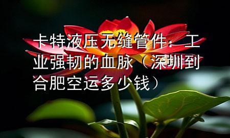 卡特液压无缝管件:工业强韧的血脉(深圳到合肥空运多少钱)
