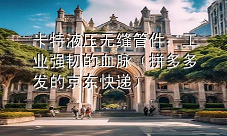卡特液压无缝管件:工业强韧的血脉(拼多多发的京东快递)