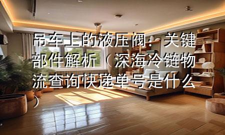 吊车上的液压阀:关键部件解析(深海冷链物流查询快递单号是什么)