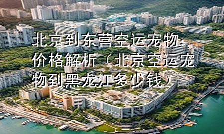 北京到东营空运宠物：价格解析（北京空运宠物到黑龙江多少钱）