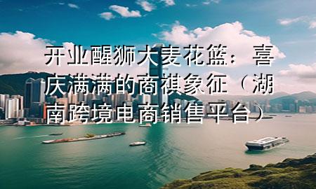 开业醒狮大麦花篮:喜庆满满的商祺象征(湖南跨境电商销售平台)