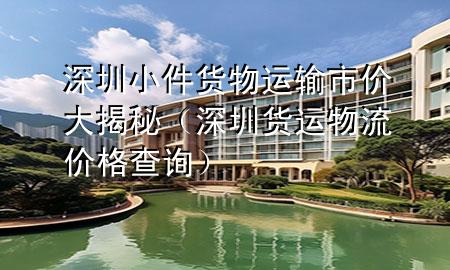 深圳小件货物运输市价大揭秘(深圳货运物流价格查询)