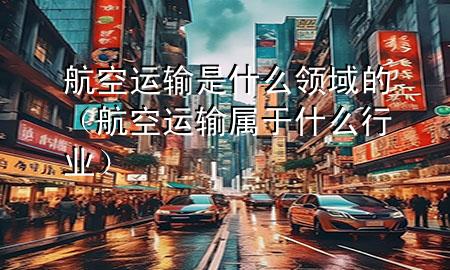 航空运输是什么领域的(航空运输属于什么行业)