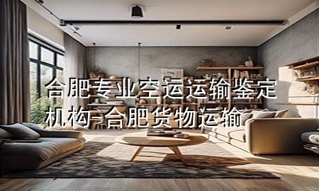 合肥专业空运运输鉴定机构-合肥货物运输