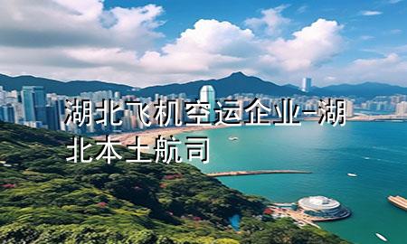 湖北飞机空运企业-湖北本土航司