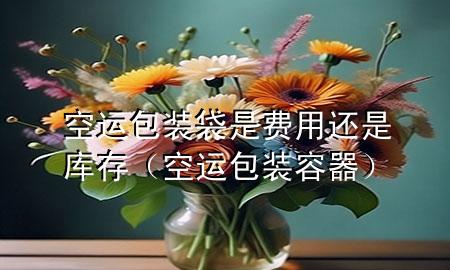空运包装袋是费用还是库存(空运包装容器)