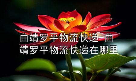 曲靖罗平物流快递-曲靖罗平物流快递在哪里