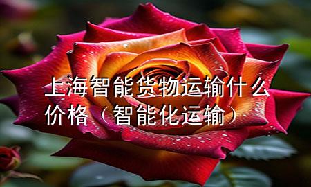 上海智能货物运输什么价格(智能化运输)