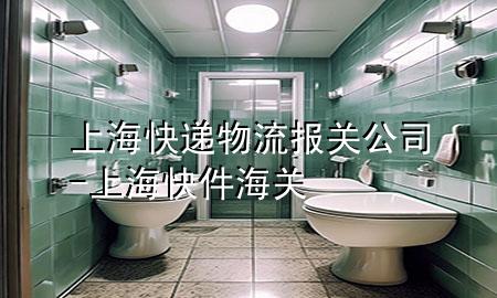 上海快递物流报关公司-上海快件海关