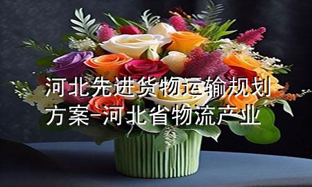 河北先进货物运输规划方案-河北省物流产业