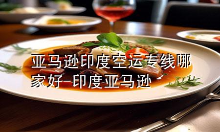 亚马逊印度空运专线哪家好-印度 亚马逊