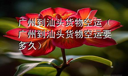 广州到汕头货物空运(广州到汕头货物空运要多久)