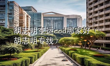 胡志明空运cod哪家好(胡志明专线)